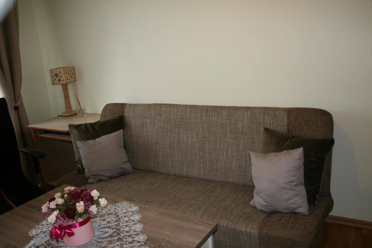 Cosy One Room Apartment Вильнюс Экстерьер фото